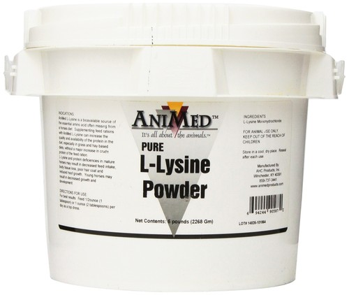 AniMed L-Lysine Pure 5 lb – Horse Essential Amino Acid & Protein Support Supplement