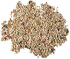 Better Bird Premium Parakeet Food 5 lb – Fortified Seed & Grain Blend with Probiotics, Omega 3 & 6