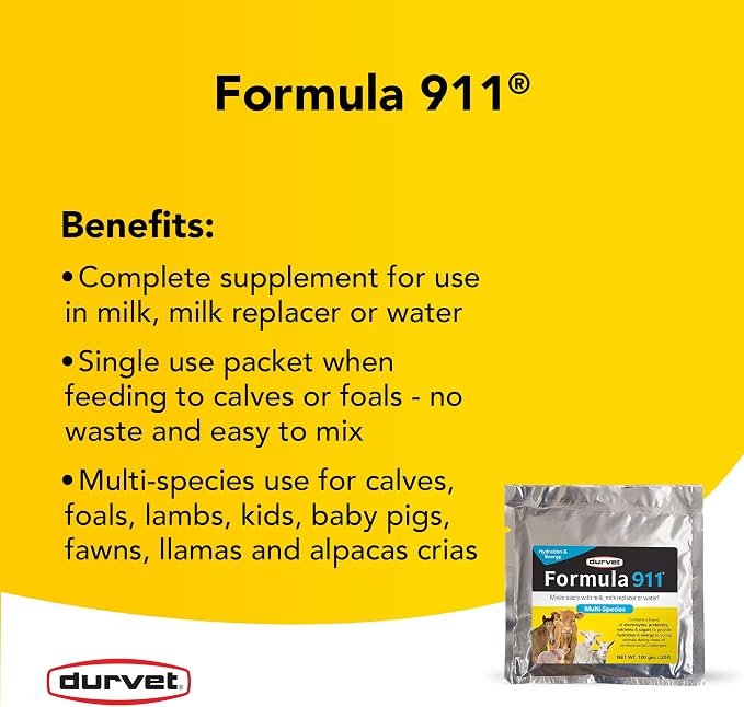 Formula 911 Hydration/Energy 100gm 
