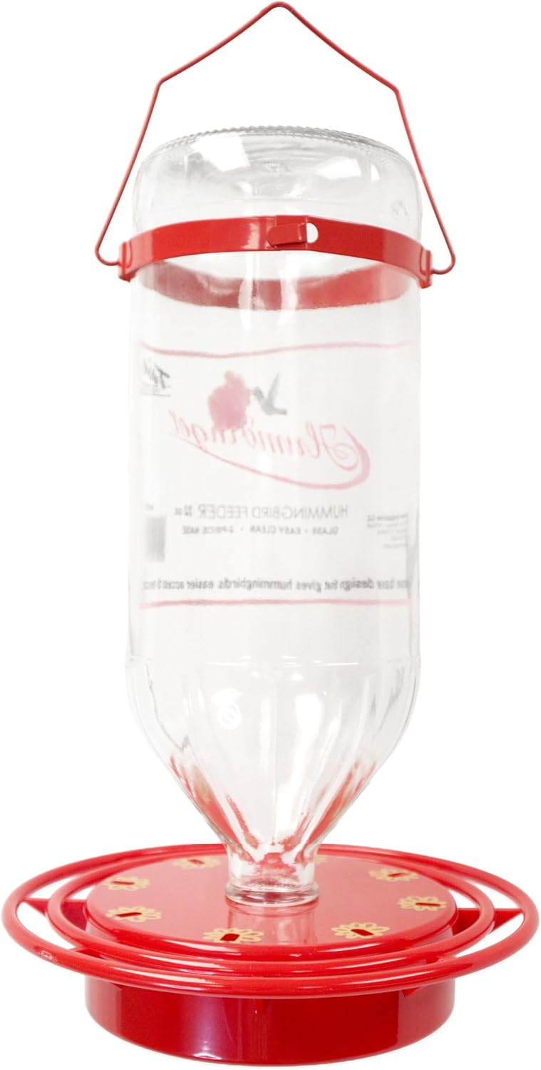 Humdinger 32 oz Glass Hummingbird Feeder