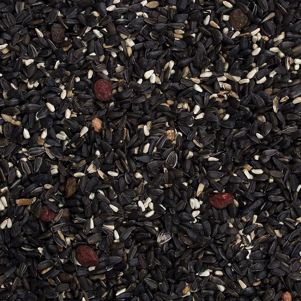 Wild Delight Songbird Food Bird Seed – 8 lb