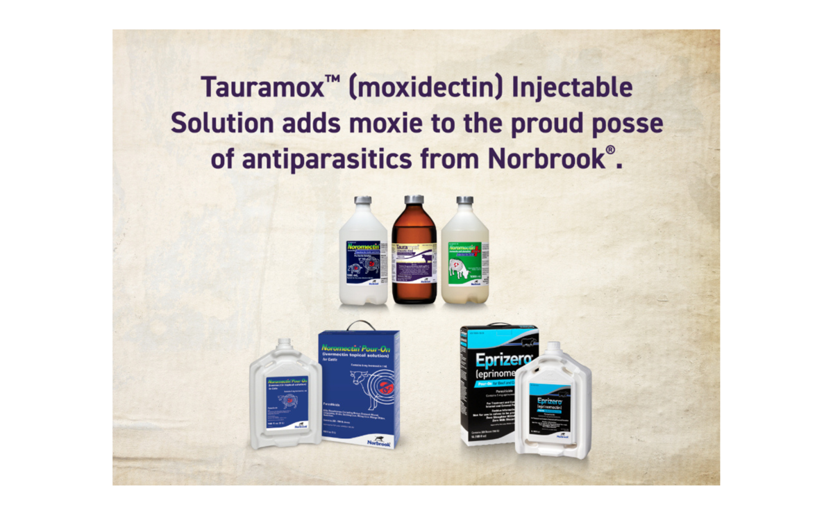 Noromectin Injection 1%