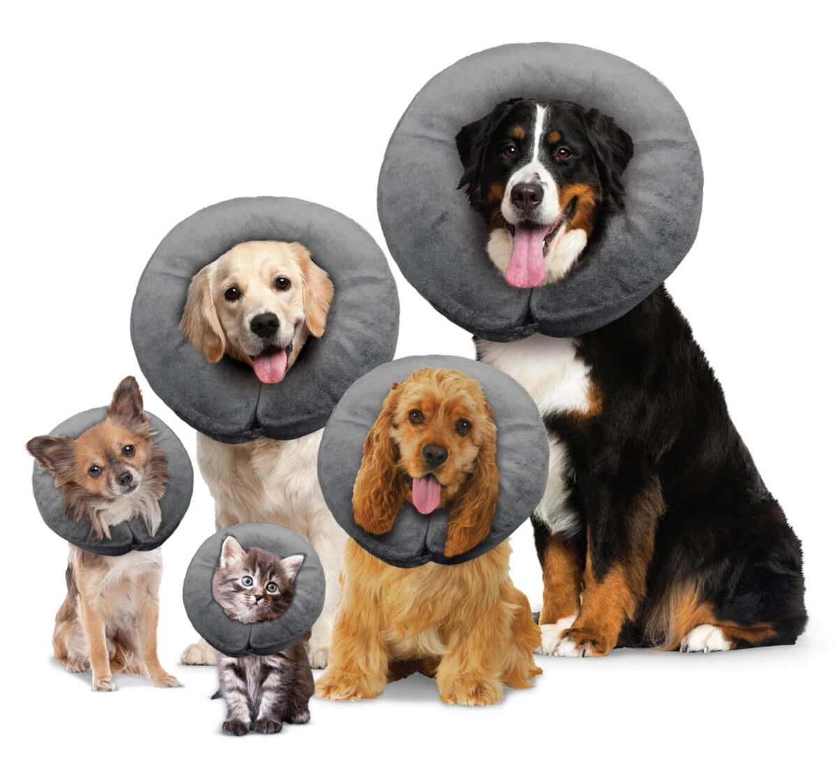 Arlee Pet Products Polyester Comfurt Collar - Grey/Black