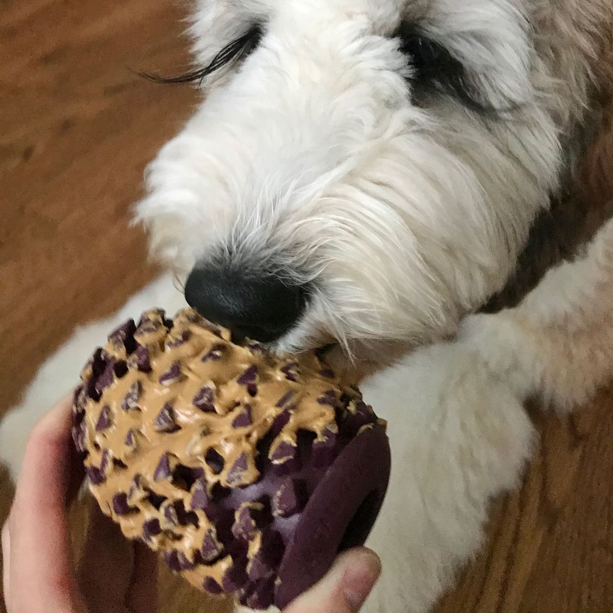 Tall Tails Natural Rubber Pinecone Reward Dog Toy – 4 Inch