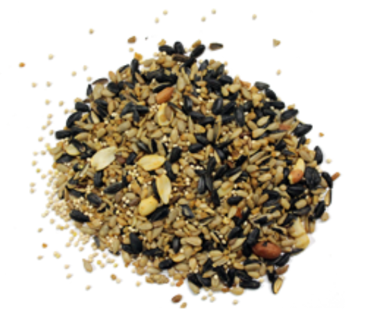 Better Bird Squirrel Away – 5 lb