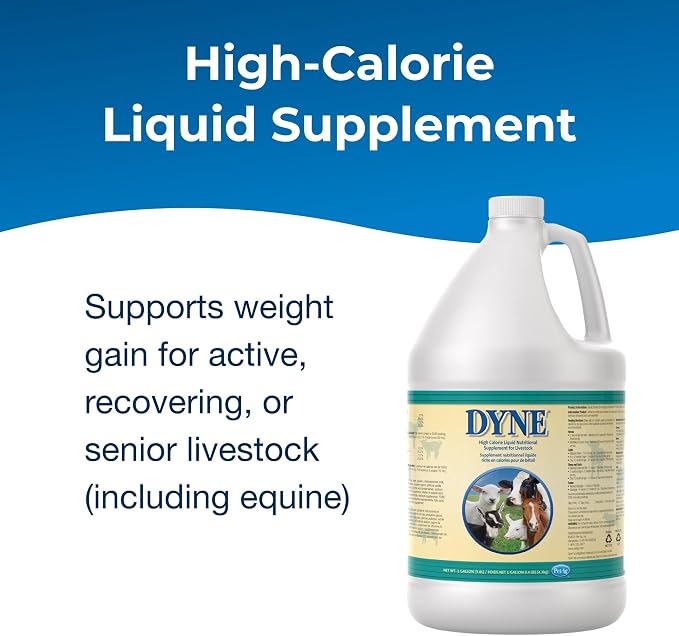 PetAg Dyne High Calorie Liquid Livestock Supplement – Weight Gain, Energy & Nutrition Support, 1 Gallon (128 oz)