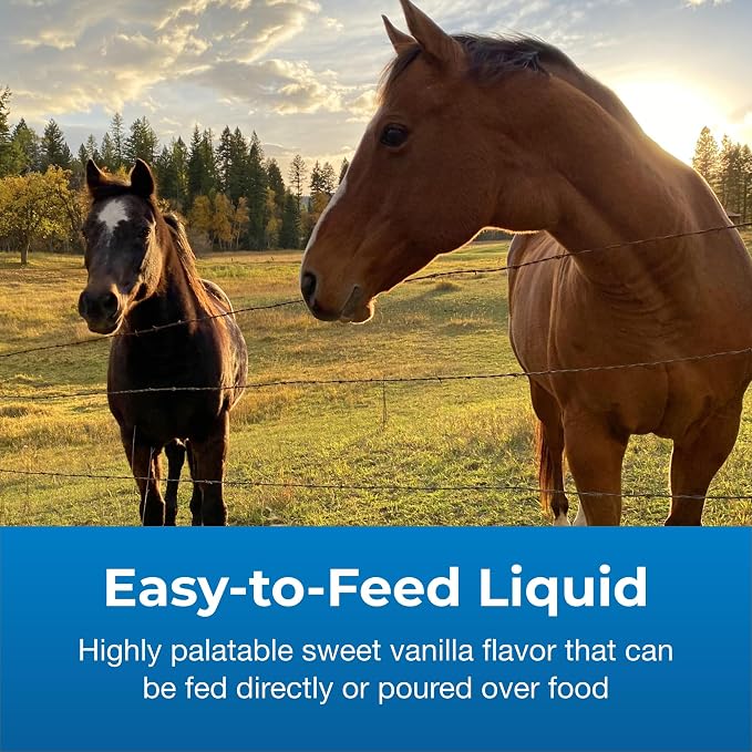 PetAg Dyne High Calorie Liquid Livestock Supplement – Weight Gain, Energy & Nutrition Support, 1 Gallon (128 oz)