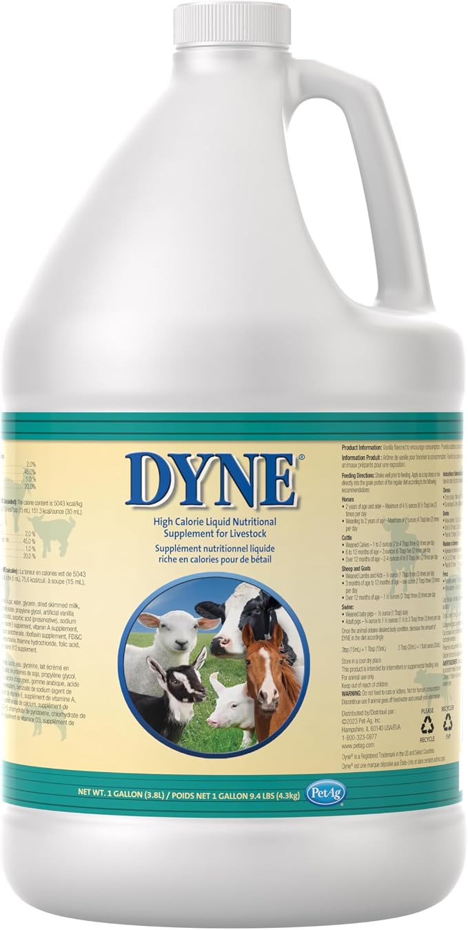 PetAg Dyne High Calorie Liquid Livestock Supplement – Weight Gain, Energy & Nutrition Support, 1 Gallon (128 oz)
