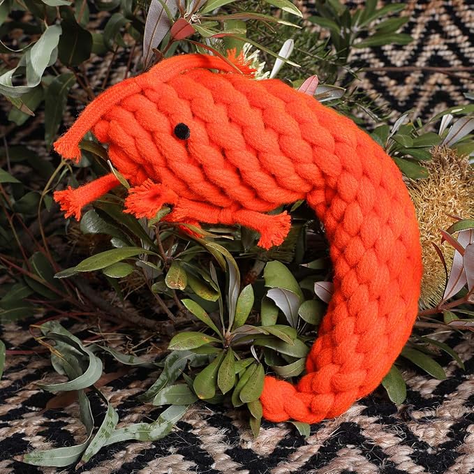 DOOG Pawn Woven Dog Chew Toy – Durable Interactive Chewing & Fetch Toy for Dogs