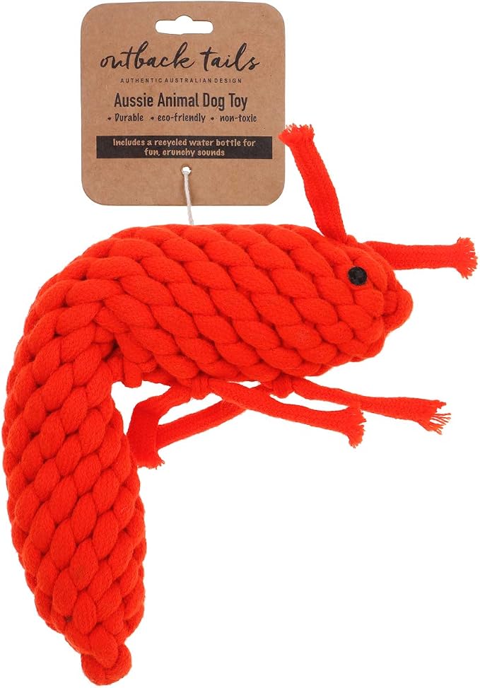 DOOG Pawn Woven Dog Chew Toy – Durable Interactive Chewing & Fetch Toy for Dogs