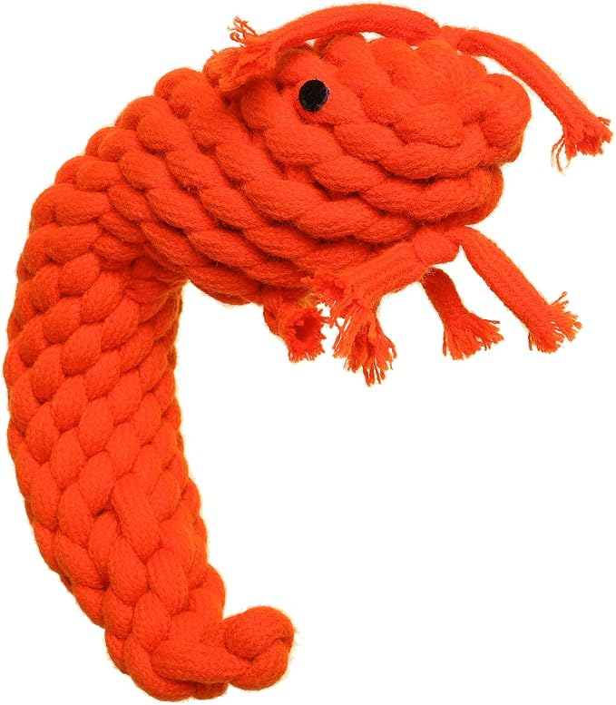 DOOG Pawn Woven Dog Chew Toy – Durable Interactive Chewing & Fetch Toy for Dogs