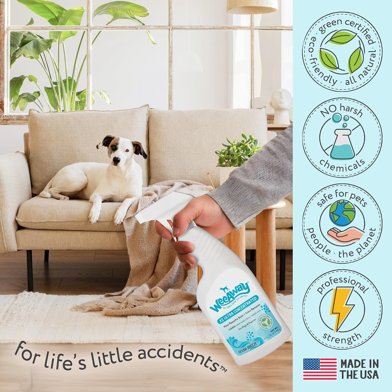 Wee Away X2 Dog Urine Stain & Odor Remover – 16 oz