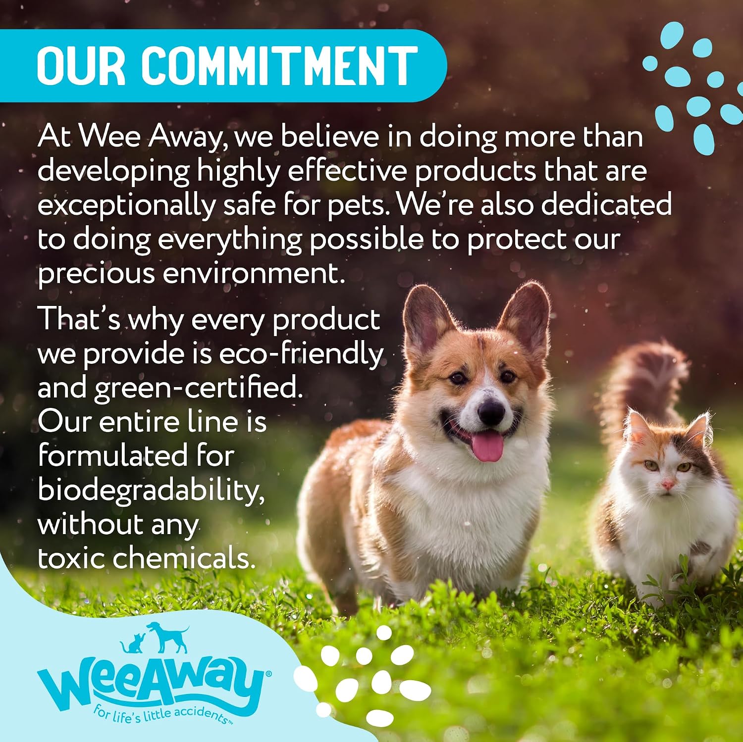 Wee Away X2 Dog Urine Stain & Odor Remover – 16 oz