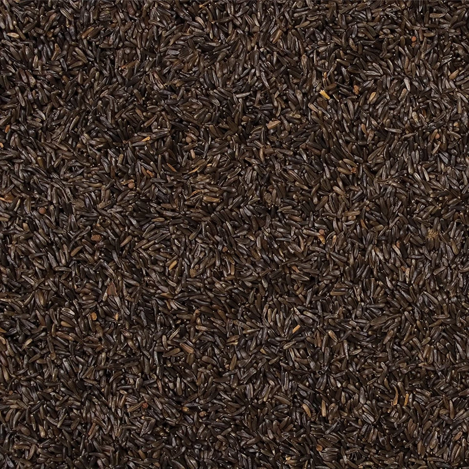 Wild Delight Premium Nyjer Seed Wild Bird Food – High-Oil Finch Seed