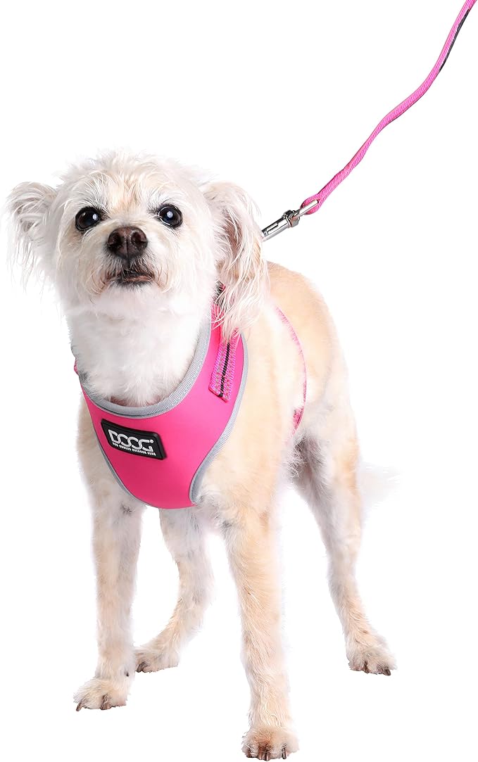 DOOG Neon Neoprene Dog Leash – Bright Reflective Lead for Everyday Walks & Outdoor Activities