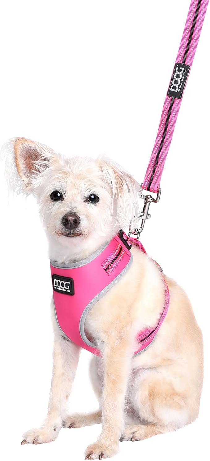 DOOG Neon Neoprene Dog Leash – Bright Reflective Lead for Everyday Walks & Outdoor Activities