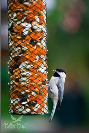Better Bird Better Blends Songbird 