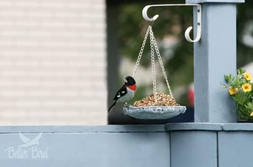 Better Bird Better Blends Songbird 