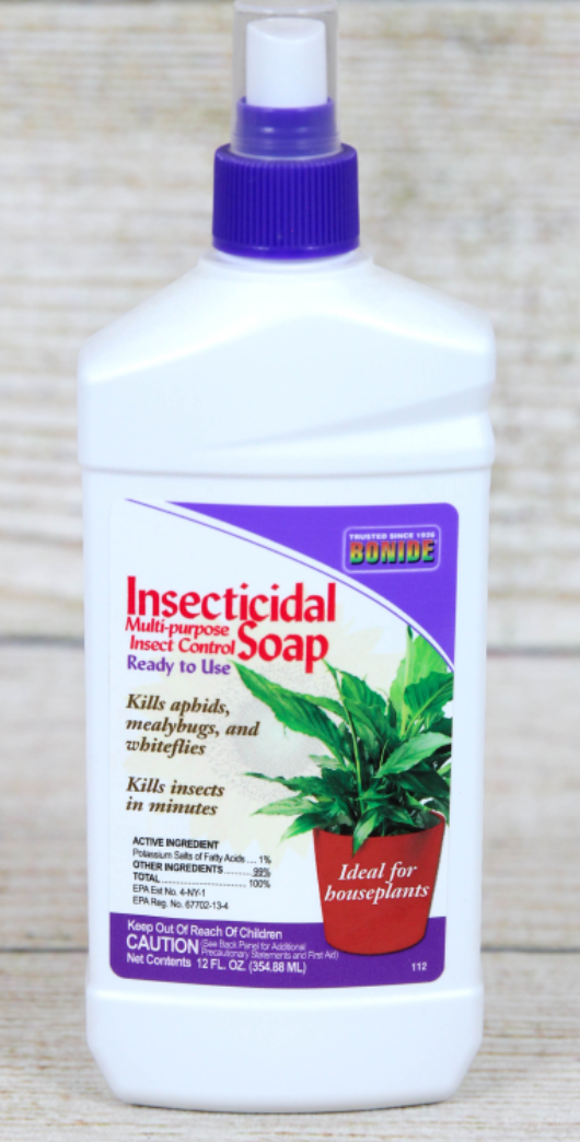  BONIDE Products 112 Ready-to-Use Insect Soap, 12-Ounce