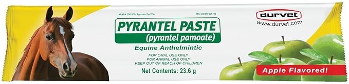 Boehringer Ingelheim UlcerGard Omeprazole Oral Paste for Horses – Gastric Ulcer Prevention, 4-Dose Syringe