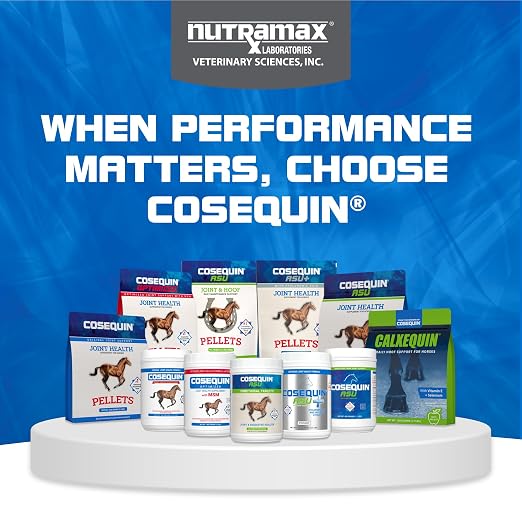 Nutramax Cosequin ASU Joint Health Supplement for Horses - Powder with Glucosamine, Chondroitin, ASU, and MSM, 1320 Grams