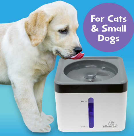 Pioneer Pet Mini Vortex Pet Water Fountain