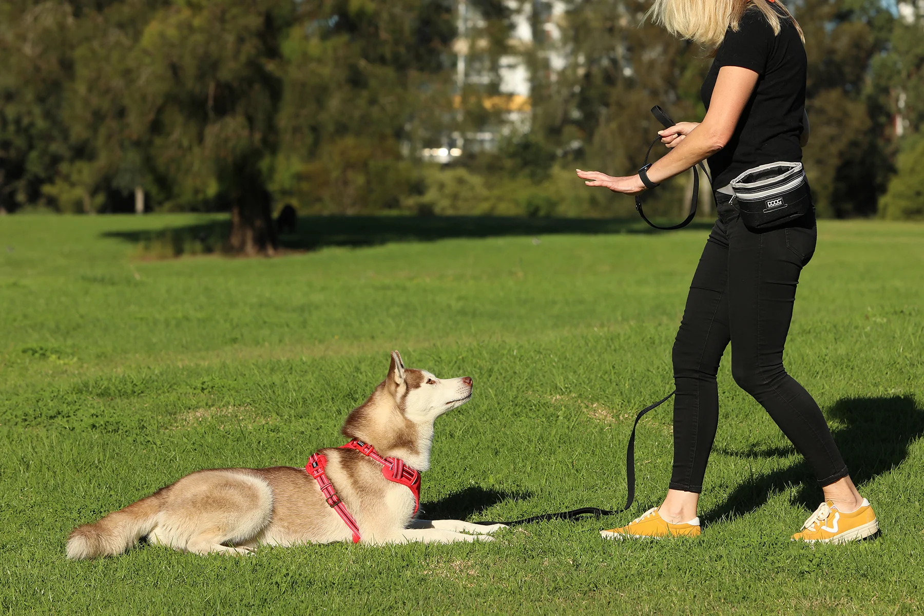 DOOG Neoprene Dog Training Leash – Extra Long 3m, Black | Recall & Puppy Training