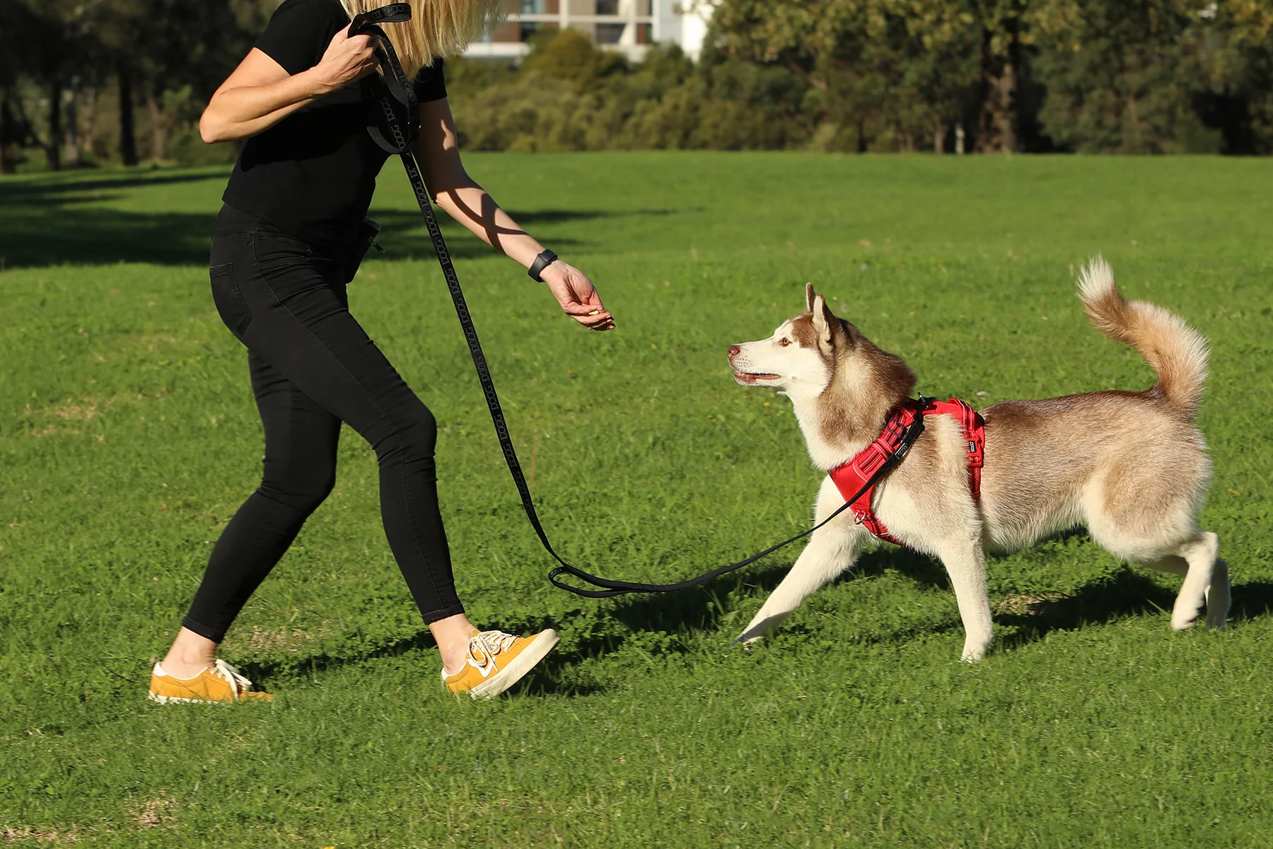DOOG Neoprene Dog Training Leash – Extra Long 3m, Black | Recall & Puppy Training