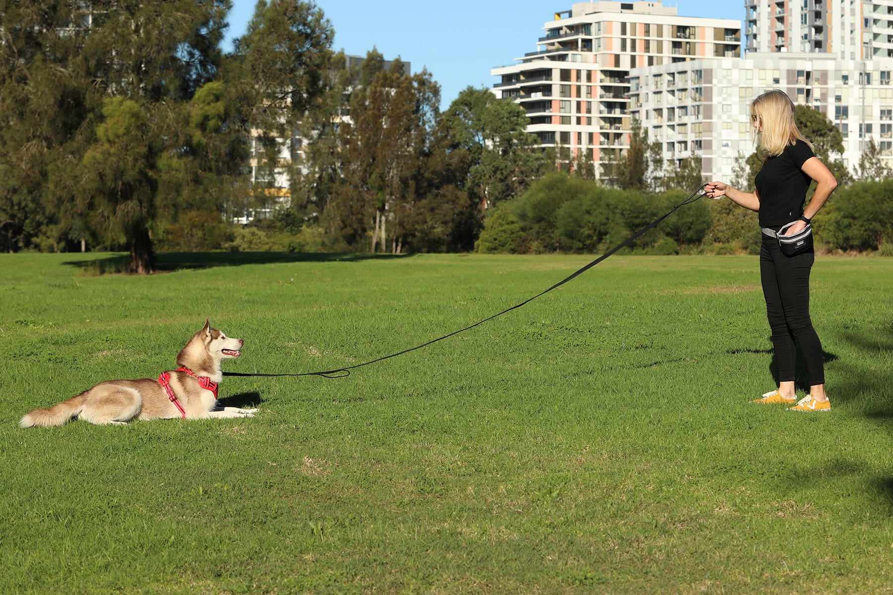 DOOG Neoprene Dog Training Leash – Extra Long 3m, Black | Recall & Puppy Training