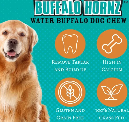 QT Dog Small Water Buffalo Horn Natural Dog Chew — image 4