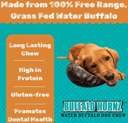 QT Dog Small Water Buffalo Horn Natural Dog Chew — image 3