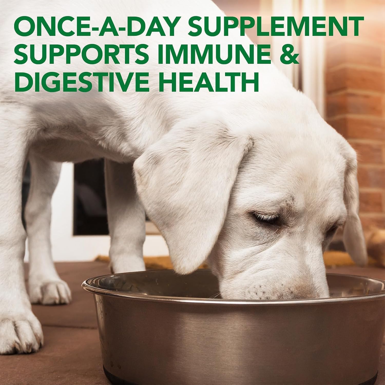 Vet's Best Probiotic Soft Chews for Dogs, Digestive Aid, 30 Day Supply