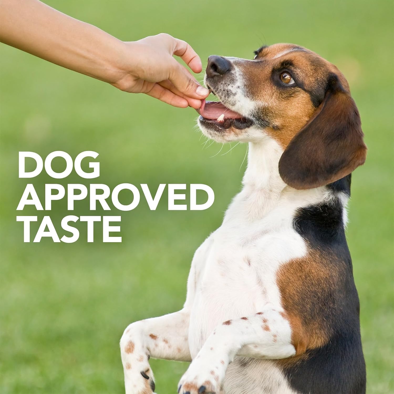 Vet's Best Probiotic Soft Chews for Dogs, Digestive Aid, 30 Day Supply