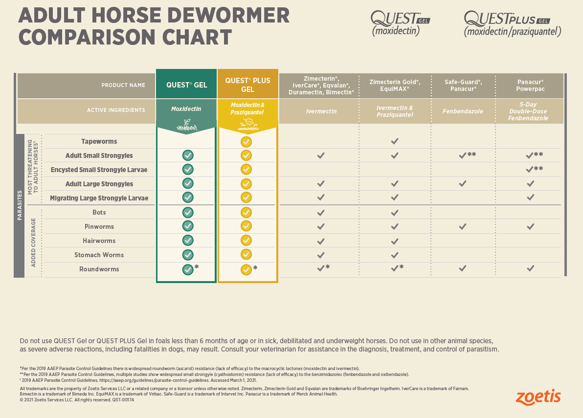 Quest Equine Dewormer Gel for Horses, 0.5 oz  — image 8