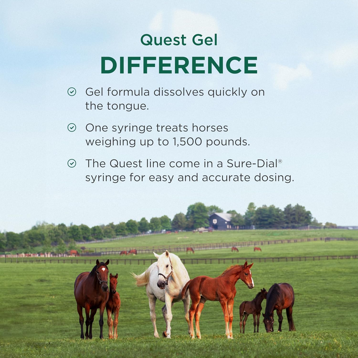 Quest Equine Dewormer Gel for Horses, 0.5 oz  — image 5