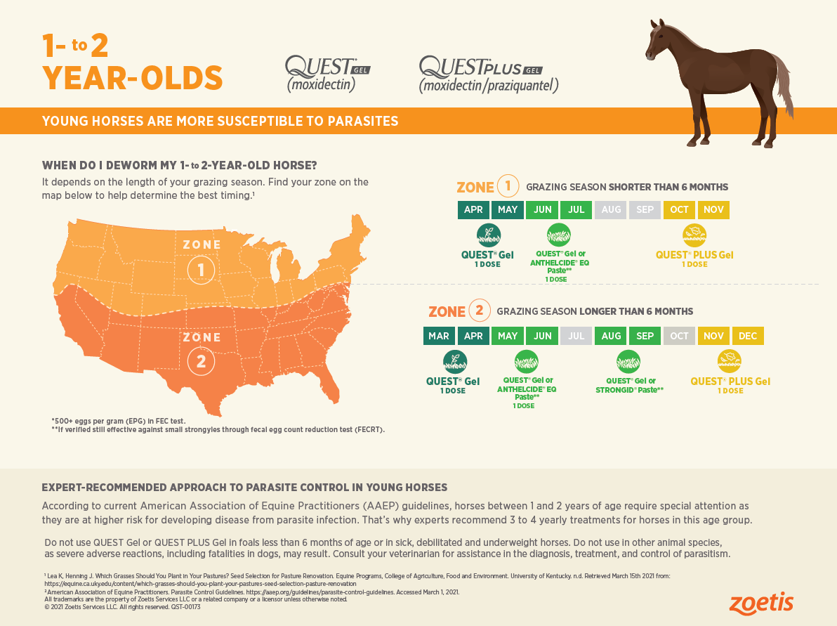 Quest Equine Dewormer Gel for Horses, 0.5 oz  — image 3