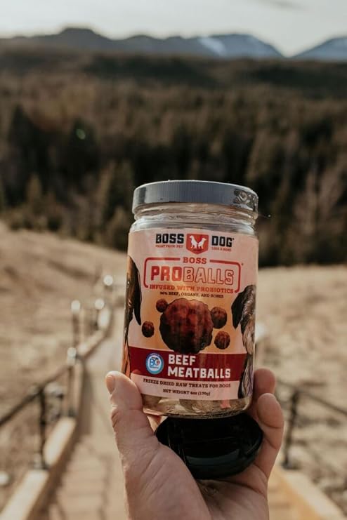 Boss Proballs Freeze Dried Raw Meatball Treat for Dogs- Boss Dog Brand Beef 12/6oz Jar