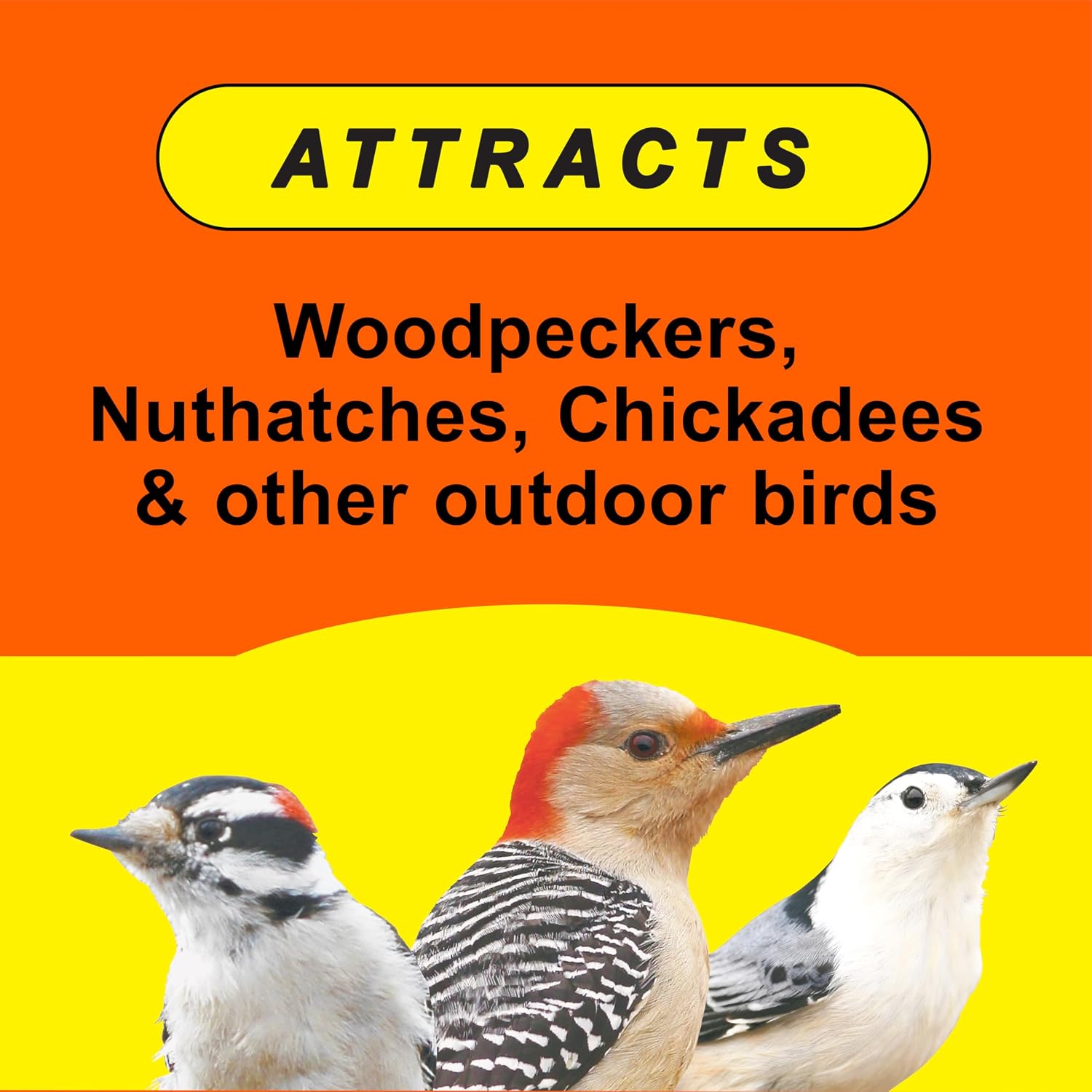 Wild Delight Woodpecker, Nuthatch N' Chickadee Wild Bird Food – 5 lb
