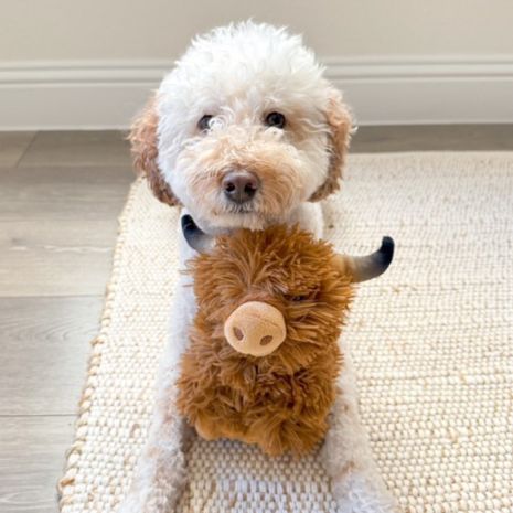 Tall Tails Highland Cow Plush Squeaker Dog Toy – Reinforced Mesh, Recycled Stuffing, 8 Inch