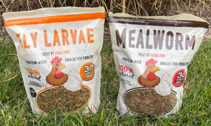 Mealworm & Fly Larvae 4 lb – High-Protein Live Feed for Chickens, Birds, Reptiles & Small Animals