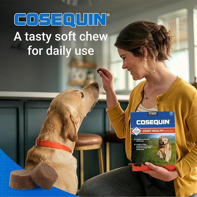 Nutramax Cosequin Dog Joint Supplement, MSM + Boswellia, Soft Chews, 60ct