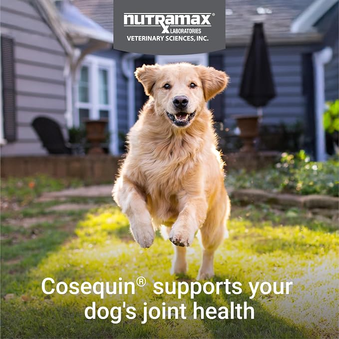 Nutramax Cosequin Dog Joint Supplement, MSM + Boswellia, Soft Chews, 60ct
