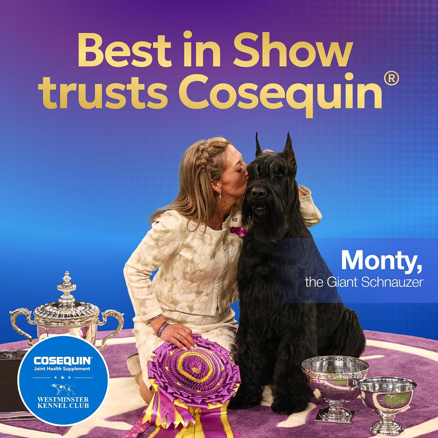 Nutramax Cosequin Dog Joint Supplement, MSM + Boswellia, Soft Chews, 60ct
