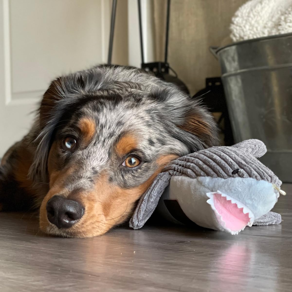 Tall Tails Shark Plush Crunch Water Bottle Toy for Dogs – 14 Inch