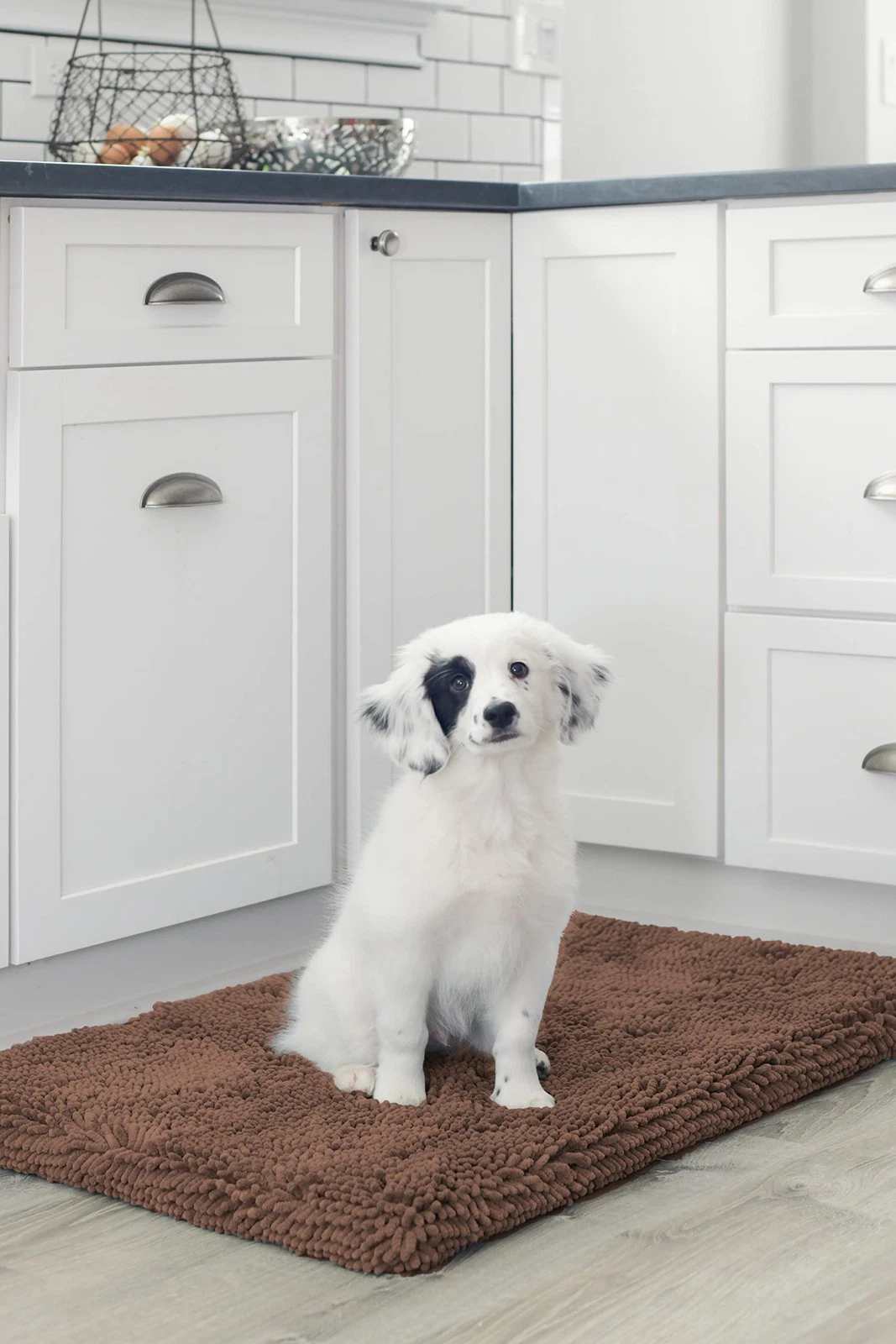 Large Brown Dirty Dog Cushion Pad