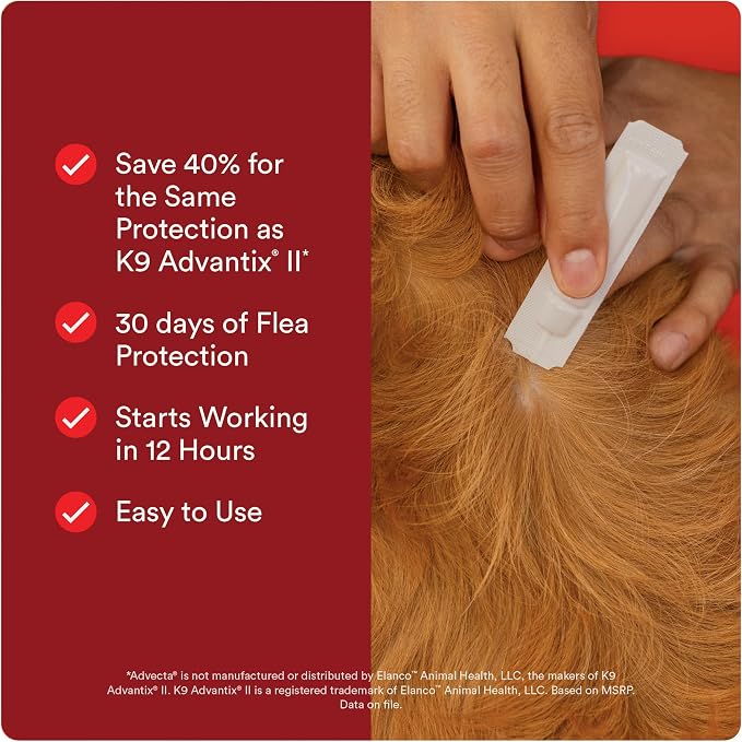Advecta Ultra Flea & Tick Topical Treatment for Dogs – 4 Monthly Doses