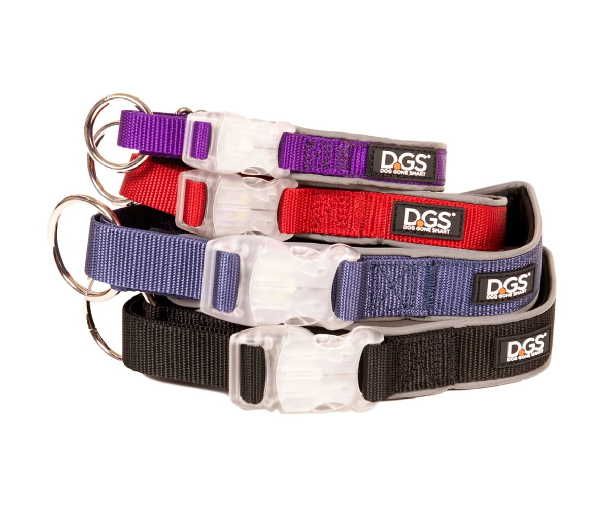 DGS Pet Products Comet Rechargeable LED Safety Dog Collar
