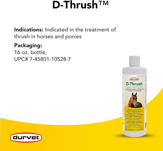 Durvet D-Thrush Horse Hoof Thrush Treatment – Water-Resistant Copper Naphthenate Formula for Horses & Ponies, 16 oz