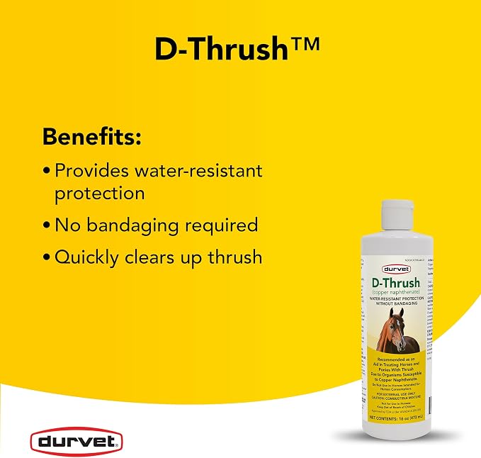 Durvet D-Thrush Horse Hoof Thrush Treatment – Water-Resistant Copper Naphthenate Formula for Horses & Ponies, 16 oz