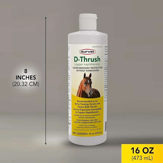 Durvet D-Thrush Horse Hoof Thrush Treatment – Water-Resistant Copper Naphthenate Formula for Horses & Ponies, 16 oz